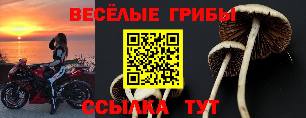 Галлюциногенные грибы GOLDEN TEACHER Полысаево